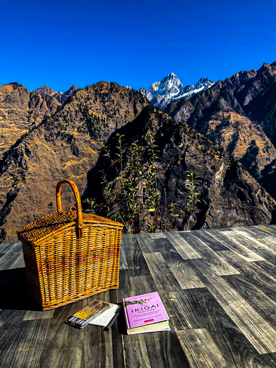 Picnic basket and a book laid out on the terrace deck with snow-capped peaks behind