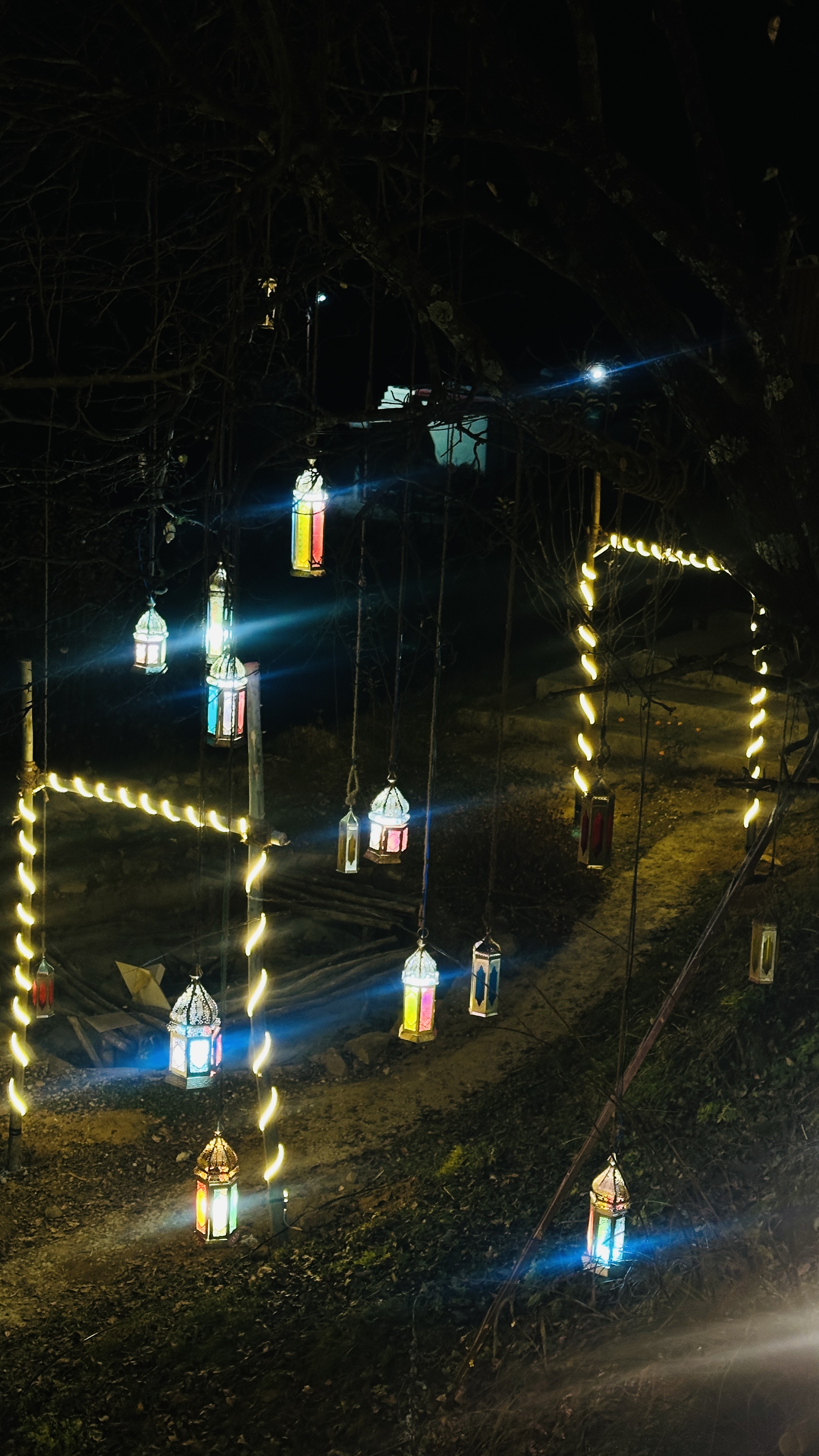Colourful lanterns strung through the trees along a garden path at night